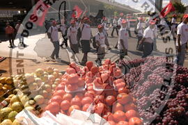 [Título n/d] : lote nº 002, pasta nº 000044, doc. nº 000365 [imagem] / Fotógrafo(a) : [autoria n/d].