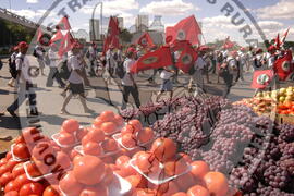 [Título n/d] : lote nº 002, pasta nº 000044, doc. nº 000376 [imagem] / Fotógrafo(a) : [autoria n/d].