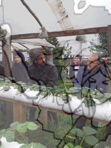 Original Objeto digital not accessible