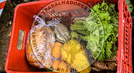 [Título n/d] : lote nº 002, pasta nº 001350, doc. nº 000086 [imagem] / Fotógrafo(a) : [autoria n/d].