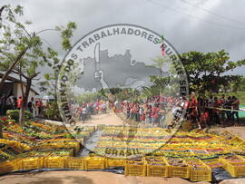 [Título n/d] : lote nº 002, pasta nº 001351, doc. nº 000490 [imagem] / Fotógrafo(a) : [autoria n/d].