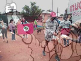 [Título n/d] : lote nº 002, pasta nº 001351, doc. nº 000257 [imagem] / Fotógrafo(a) : [autoria n/d].