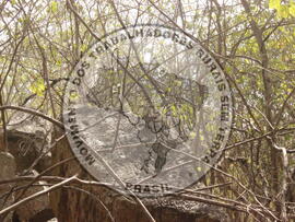 [Título n/d] : lote nº 002, pasta nº 000008, doc. nº 000040 [imagem] / Fotógrafo(a) : [autoria n/d].