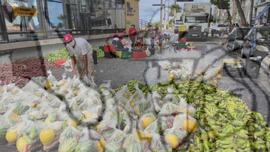 [Título n/d] : lote nº 002, pasta nº 001351, doc. nº 000335 [imagem] / Fotógrafo(a) : [autoria n/d].