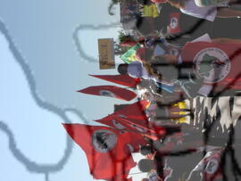 [Título n/d] : lote nº 002, pasta nº 000043, doc. nº 000160 [imagem] / Fotógrafo(a) : [autoria n/d].