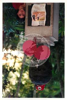 Original Document numérique not accessible