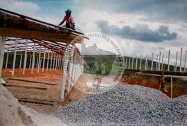 Assentamento do MST [sem identificação] (Pernambuco, [sem data]) [fotografia] / Fotógrafo(a) : João Rippa. -- Ref.: BR-SPMST_MST-SN-CIN_AMP_000337-001616-ASS.