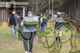 [Título n/d] : lote nº 002, pasta nº 001319, doc. nº 000173 [imagem] / Fotógrafo(a) : [autoria n/d].