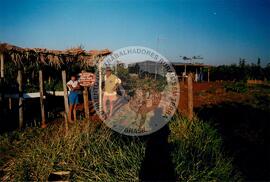 Assentamento "Ribeirão Bonito"do MST (Rio Grande do Sul, [sem data]) [fotografia] / Fotógrafo(a) : Arquivo MST. -- Ref.: BR-SPMST_MST-SN-CIN_AMP_000186-001313-ASS.