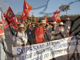 [Título n/d] : lote nº 002, pasta nº 000043, doc. nº 000216 [imagem] / Fotógrafo(a) : [autoria n/d].