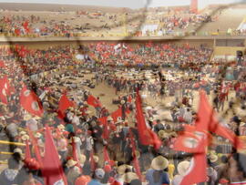 [Título n/d] : lote nº 002, pasta nº 000043, doc. nº 000162 [imagem] / Fotógrafo(a) : [autoria n/d].