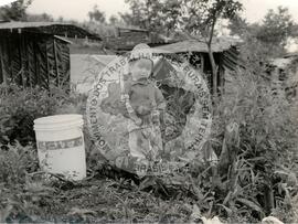 Assentamento "Derrubada" do MST (Ponte Serrada-SC, jan. 1986) [fotografia] / Fotógrafo(a) : Milton Soares. -- Ref.: BR-SPMST_MST-SN-CIN_AMP_000190-001348-ASS.