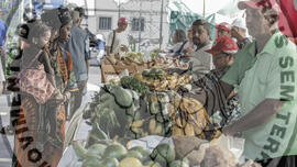 [Título n/d] : lote nº 002, pasta nº 001319, doc. nº 000049 [imagem] / Fotógrafo(a) : [autoria n/d].