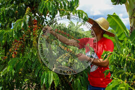 [Título n/d] : lote nº 002, pasta nº 001315, doc. nº 000020 [imagem] / Fotógrafo(a) : [autoria n/d].