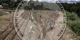 [Título n/d] : lote nº 002, pasta nº 001317, doc. nº 000079 [imagem] / Fotógrafo(a) : [autoria n/d].