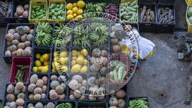 [Título n/d] : lote nº 002, pasta nº 001351, doc. nº 000506 [imagem] / Fotógrafo(a) : [autoria n/d].