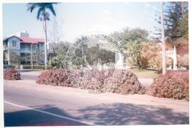 Intercâmbio com a UNAC (Moçambique, ago. 2000) [fotografia] / Fotógrafo(a) : Arquivo MST. -- Ref.: BR-SPMST_MST-SN-CIN_AMP_001093-008903-RIT.