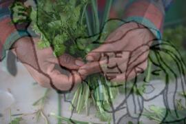 [Título n/d] : lote nº 002, pasta nº 001319, doc. nº 000176 [imagem] / Fotógrafo(a) : [autoria n/d].