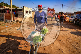 [Título n/d] : lote nº 002, pasta nº 001350, doc. nº 000062 [imagem] / Fotógrafo(a) : [autoria n/d].