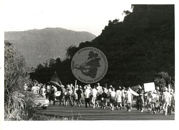 Original Document numérique not accessible