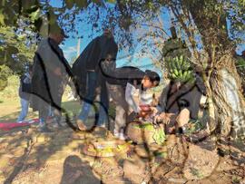 [Título n/d] : lote nº 002, pasta nº 000031, doc. nº 000013 [imagem] / Fotógrafo(a) : [autoria n/d].