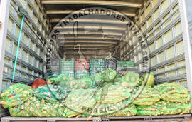 [Título n/d] : lote nº 002, pasta nº 001319, doc. nº 000127 [imagem] / Fotógrafo(a) : [autoria n/d].