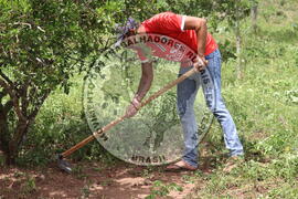 [Título n/d] : lote nº 002, pasta nº 000014, doc. nº 000218 [imagem] / Fotógrafo(a) : [autoria n/d].