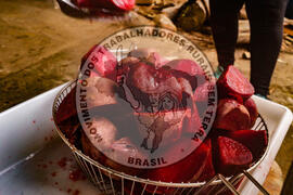 [Título n/d] : lote nº 002, pasta nº 001324, doc. nº 000032 [imagem] / Fotógrafo(a) : [autoria n/d].