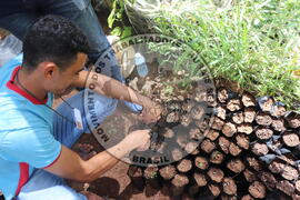 [Título n/d] : lote nº 002, pasta nº 000015, doc. nº 000023 [imagem] / Fotógrafo(a) : [autoria n/d].