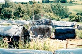 Acampamento " Nova Canudos- Fazenda Engenheiro D'Agua" do MST (Porto Feliz-SP, fev. 1999) [fotografia] / Fotógrafo(a) : Douglas Mansur. -- Ref.: BR-SPMST_MST-SN-CIN_AMP_000046-000272-ACP.