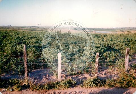 Original Digitaal object not accessible