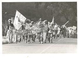 Romaria conquistadora da Terra Prometida (Porto Alegre-RS, 27 mai. 1986) [fotografia] / Fotógrafo(a) : Karine Emerich. -- Ref.: BR-SPMST_MST-SN-CIN_AMP_001956-014968-SPR.