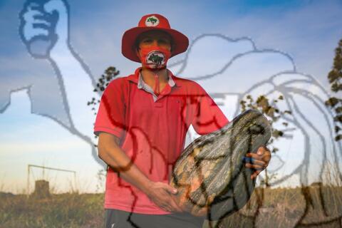 Original Objeto digital not accessible