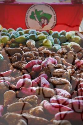 [Título n/d] : lote nº 002, pasta nº 001317, doc. nº 000095 [imagem] / Fotógrafo(a) : [autoria n/d].