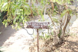 [Título n/d] : lote nº 002, pasta nº 001312, doc. nº 000273 [imagem] / Fotógrafo(a) : [autoria n/d].