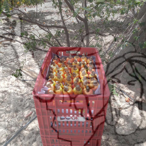 Original Objeto digital not accessible