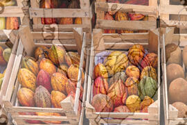 [Título n/d] : lote nº 002, pasta nº 001319, doc. nº 000080 [imagem] / Fotógrafo(a) : [autoria n/d].