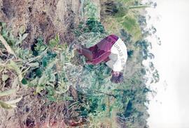 Curso Prolongado região sudeste - CIDAP (São Matheus-ES, ago. 2000) [fotografia] / Fotógrafo(a) : Leticia Barqueta. -- Ref.: BR-SPMST_MST-SN-CIN_AMP_000822-005450-CUR.