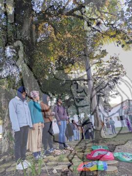 [Título n/d] : lote nº 002, pasta nº 000029, doc. nº 000016 [imagem] / Fotógrafo(a) : [autoria n/d].