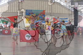 [Título n/d] : lote nº 002, pasta nº 001311, doc. nº 001516 [imagem] / Fotógrafo(a) : [autoria n/d].