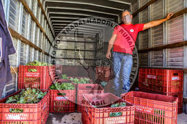 [Título n/d] : lote nº 002, pasta nº 001351, doc. nº 000011 [imagem] / Fotógrafo(a) : [autoria n/d].