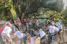 [Título n/d] : lote nº 002, pasta nº 001329, doc. nº 000041 [imagem] / Fotógrafo(a) : [autoria n/d].