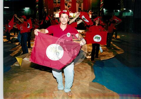 Original Digitaal object not accessible