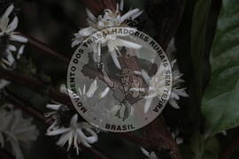 [Título n/d] : lote nº 002, pasta nº 001313, doc. nº 000044 [imagem] / Fotógrafo(a) : [autoria n/d].