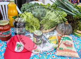 [Título n/d] : lote nº 002, pasta nº 001319, doc. nº 000125 [imagem] / Fotógrafo(a) : [autoria n/d].