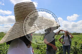 [Título n/d] : lote nº 002, pasta nº 001313, doc. nº 000004 [imagem] / Fotógrafo(a) : [autoria n/d].