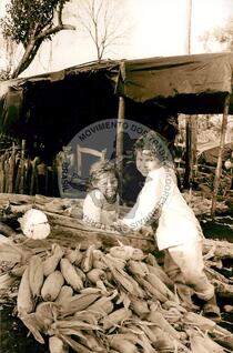 Original Document numérique not accessible