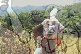 [Título n/d] : lote nº 002, pasta nº 001351, doc. nº 000288 [imagem] / Fotógrafo(a) : [autoria n/d].