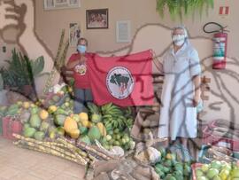 [Título n/d] : lote nº 002, pasta nº 001351, doc. nº 000331 [imagem] / Fotógrafo(a) : [autoria n/d].