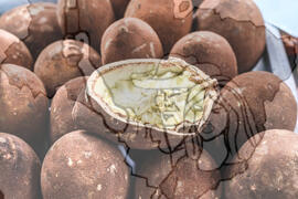 [Título n/d] : lote nº 002, pasta nº 001319, doc. nº 000095 [imagem] / Fotógrafo(a) : [autoria n/d].